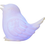 Color changing bird - Image 2
