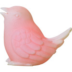 Color changing bird - Image 3
