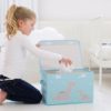 Brontosaurus storage box - Image 2